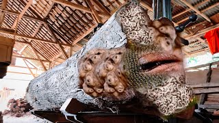 Download Lagu Bencana mengintai pekerja! Kematian brutal di tengah tengah pabrik penggergajian kayu MP3