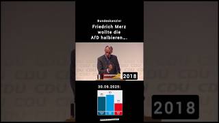 Merz halbiert die AfD #politics #news #lustig #lügner