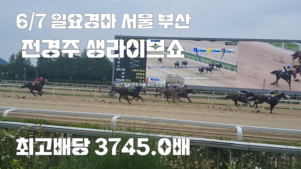 경마하기 딱좋은날씨인데 한마리씩 꼭 빠지네~쩝(일요경마 생라이브쇼)