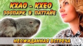 Зоопарк КХАО КХЕО в Паттайе едем на экскурсию/ Часть 5(Зоопарк КХАО КХЕО в Паттайе едем на экскурсию, он находится в 30 минутах езды от Паттайи. Отличный зоопарк..., 2016-05-24T20:18:11.000Z)