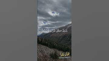 هو على كل شئ وكيل #سورة_الأنعام #القرآن_الكريم #احمد_العجمي #اكسبلور #راحة_نفسية #لايك #تلاوة_خاشعة