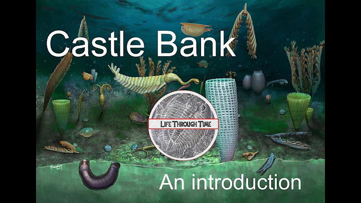 Castle Bank: an introduction