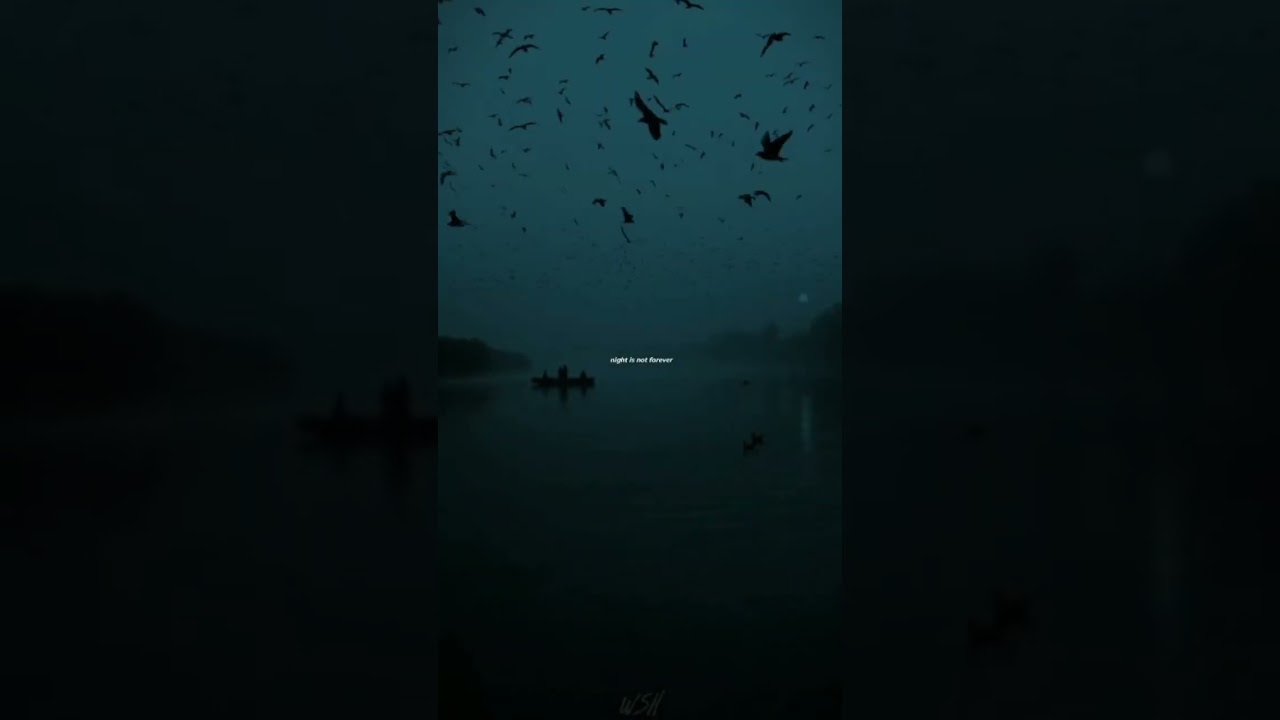 Alone- feel the beat 