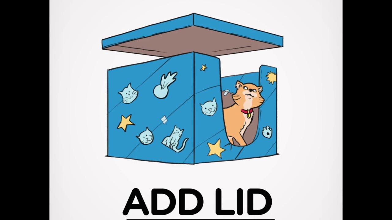cat bed amazon Hill’s How-Tos: Build Your Cat a DIY Box Bed