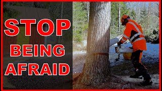 How To Get Comfortable Handling a Chainsaw - Watch This If Chainsaw Scares You by Finnish Lumberjack 1,439 views 11 days ago 53 seconds
