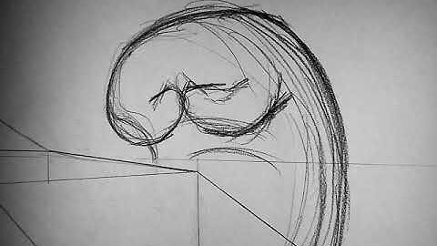 Flour Sack Animation Test