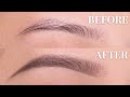 EYEBROW TUTORIAL (beginner friendly) | Anastasia Beverly Hills Powder + Brow Wiz