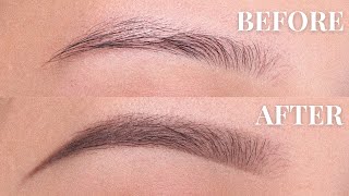 EYEBROW TUTORIAL (beginner friendly) | Anastasia Beverly Hills Powder + Brow Wiz