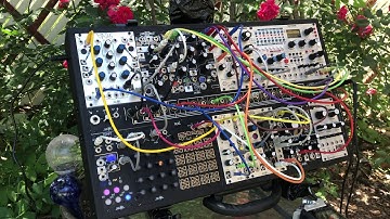 Days of Wind & Roses || Morphagene, STO, Telharmonic