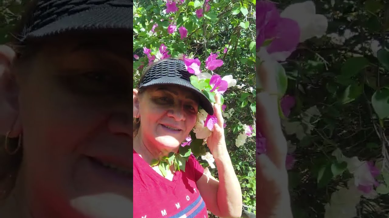 VIDA NA ROÇA, NOSSO SITIO RECANTO DOS ANJOS #vidanaroca #plantas #sitio #paz