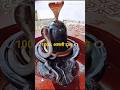 शिवलिंग से लिपटे साक्षात नाग देवता 😱 | Real Snake on Shivling 🔱 #shorts #mahadevstatus