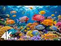 Colorful Underwater Creatures in 4K ULTRA HD – Sea Animals &amp; Marine Life for Sleep Music #9
