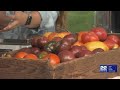 Center Fresh Farmers Market returns to Chicopee