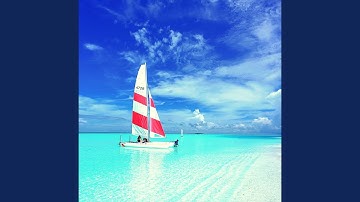 Alluring Backdrops for Beaches