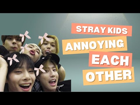 Stray kids ANNOYING Each Other