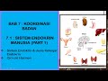 Sains tingkatan 4 kssm i bab 7 i 71  sistem endokrin manusia part 1