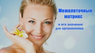 Межклеточный матрикс и его значение для организма.(Мы всё время говорили о клетке, но то, что на живет в межклеточном матриксе и берёт оттуда питательные вещес..., 2017-02-24T17:45:25.000Z)