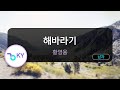 해바라기 황영웅 KY 75131 KY KARAOKE