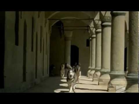 ახალციხის ციხე