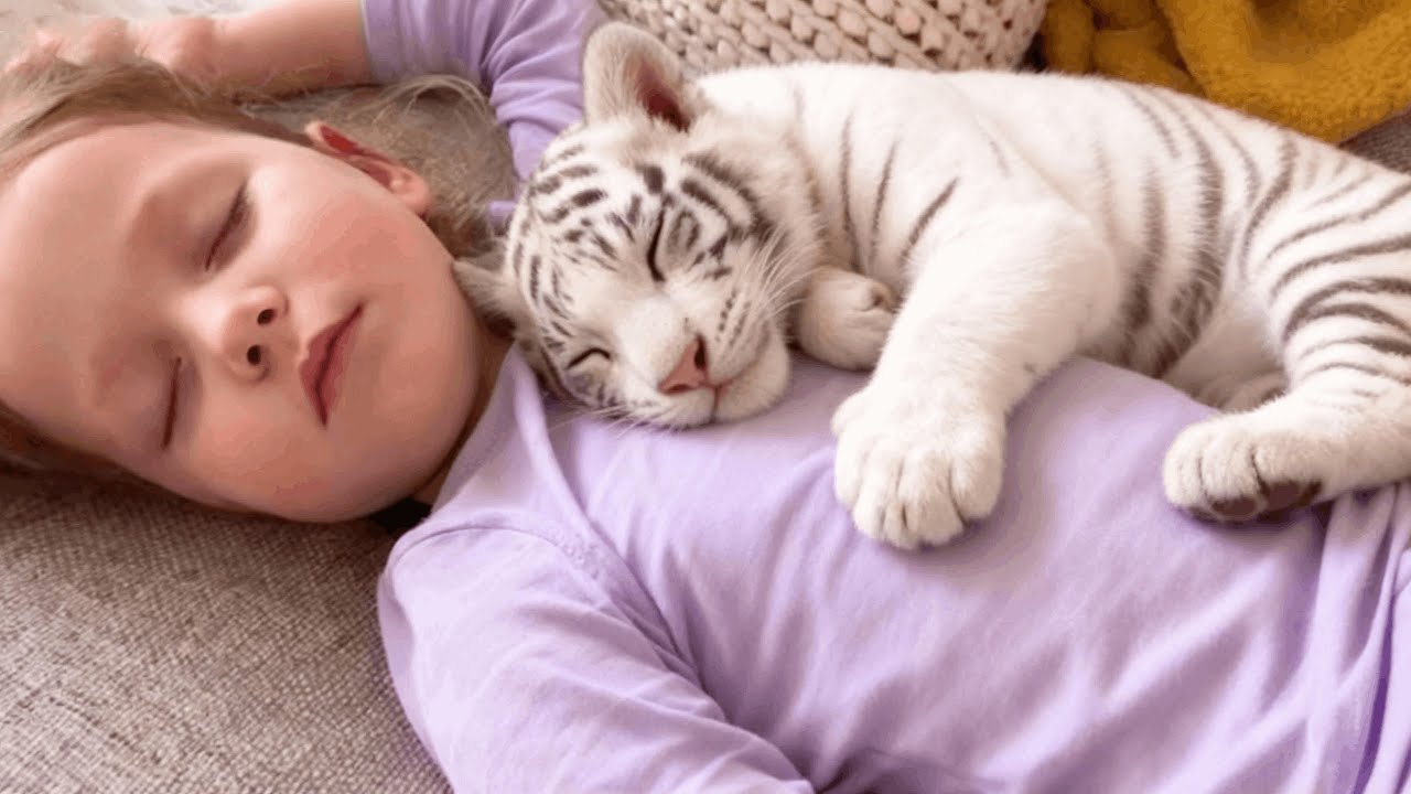 Mother leaves girl alone with Tiger cub for Seconds. When she comes back, she is Shocked!