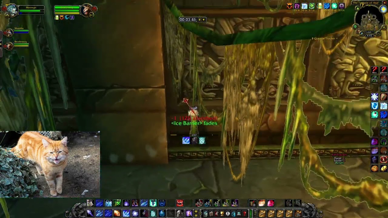 WOW Classic Fresh - Sunken Temple 150 pull done right