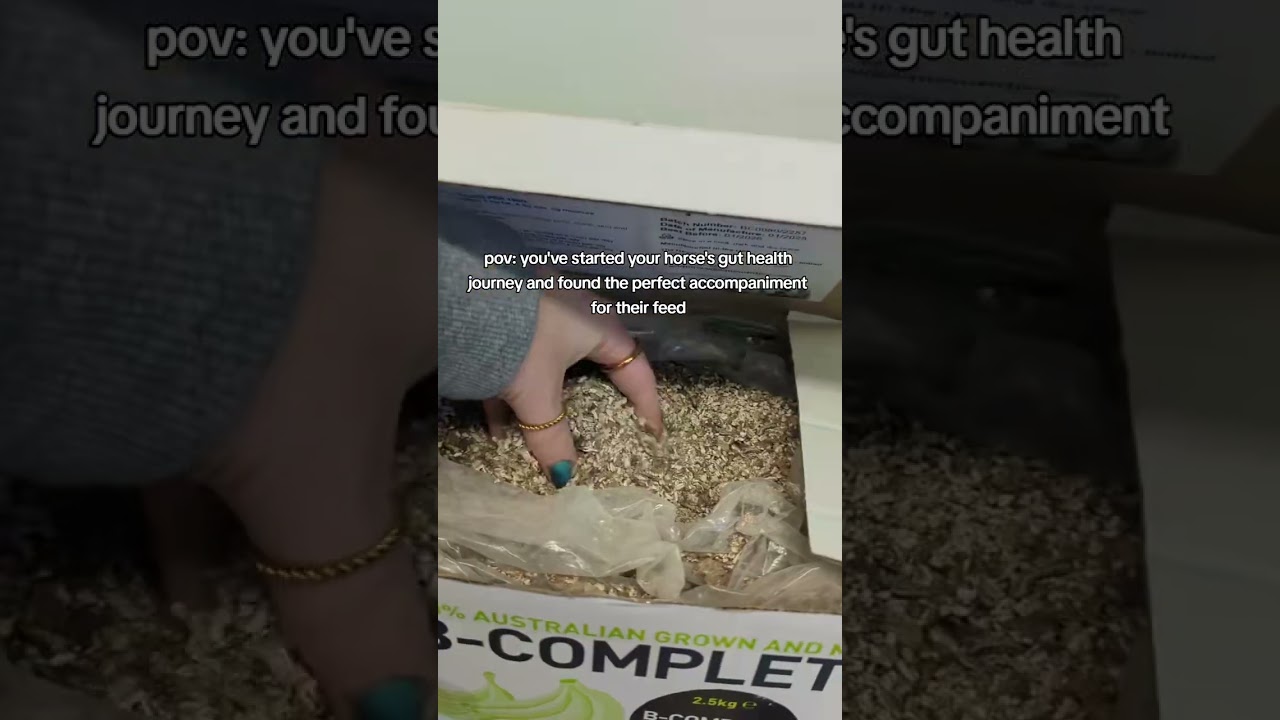 B-Complete for Horse's Gut Health is a Game Changer 