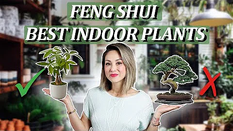 Feng Shui - BEST INDOOR HOUSE PLANTS (Boost Health & Wealth PLUS 2 to AVOID!) - DayDayNews