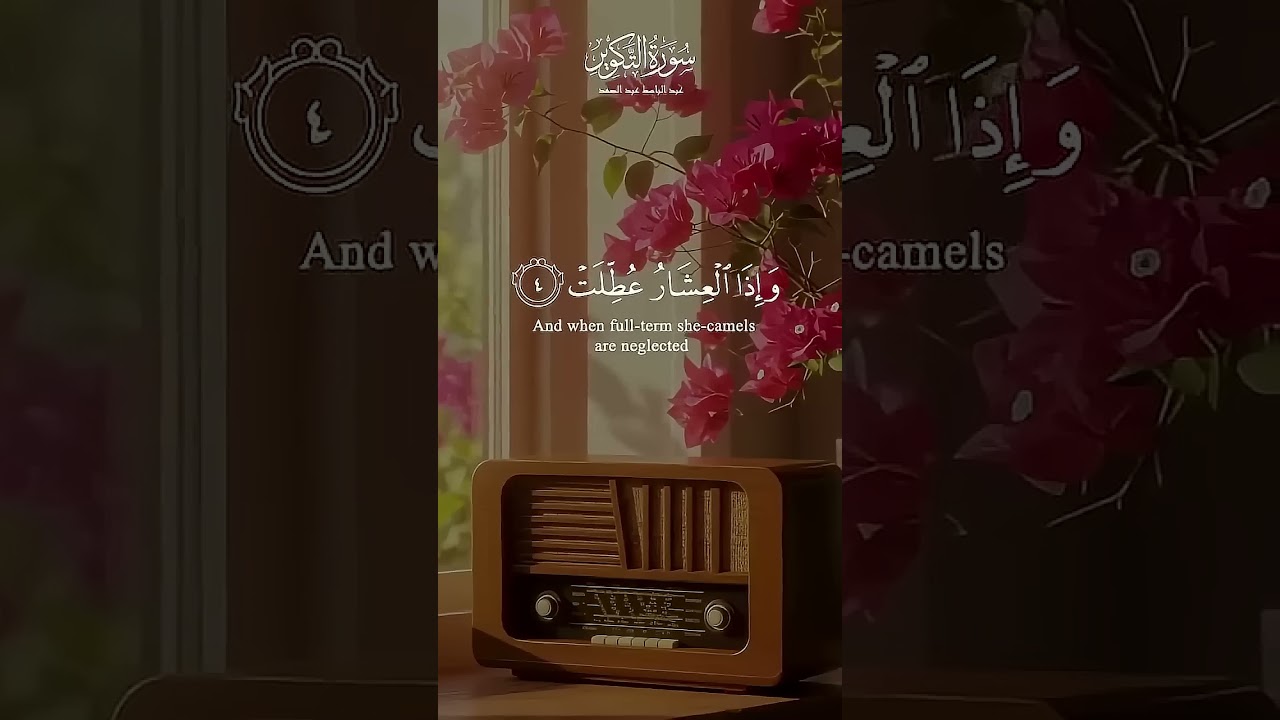 تلاوة خاشعة من سورة التكوير 📖✨ | الشيخ عبد الباسط عبد الصمد