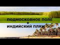 ПОДМОСКОВНОЕ ПОЛЕ + ИНДИЙСКИЙ ПЛЯЖ