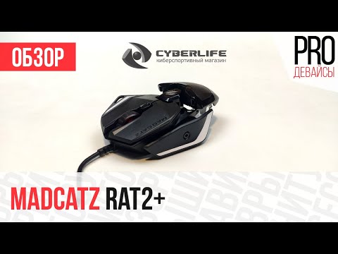 Wideo: Mad Catz I NUBY Rozprawili Się Z Pozwem