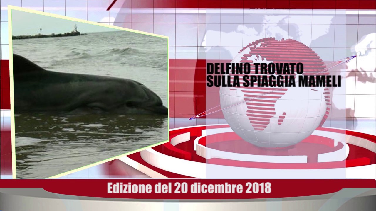 Velluto Notizie Web Tv Senigallia Ed  20 12 2018