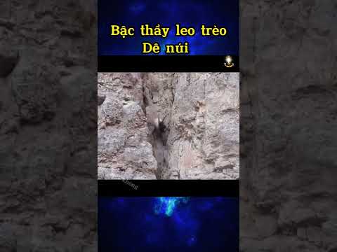 Video Dê núi leo núi bạn biết không #shorts - youtube