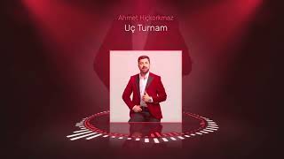 Ahmet Hiçkorkmaz - Uç Turnam Resimi