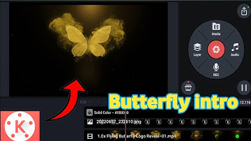 How to make a butterfly intro || Butterfly intro in kinemaster || (android & ios)