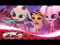 MIRACULOUS | 🐞 SANDBOY - Inside the Miraculous Box 🐞 | Tales of Ladybug and Cat Noir