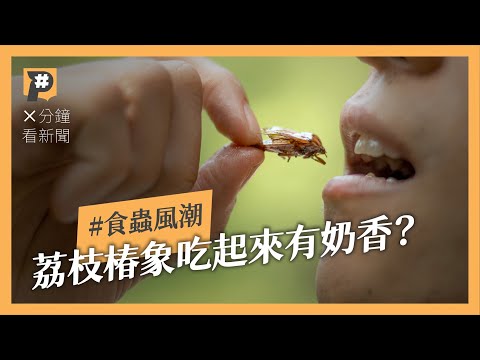 其實你天天在吃蟲?美國巧克力、啤酒允許有蟲?台灣適合推廣吃蟲?