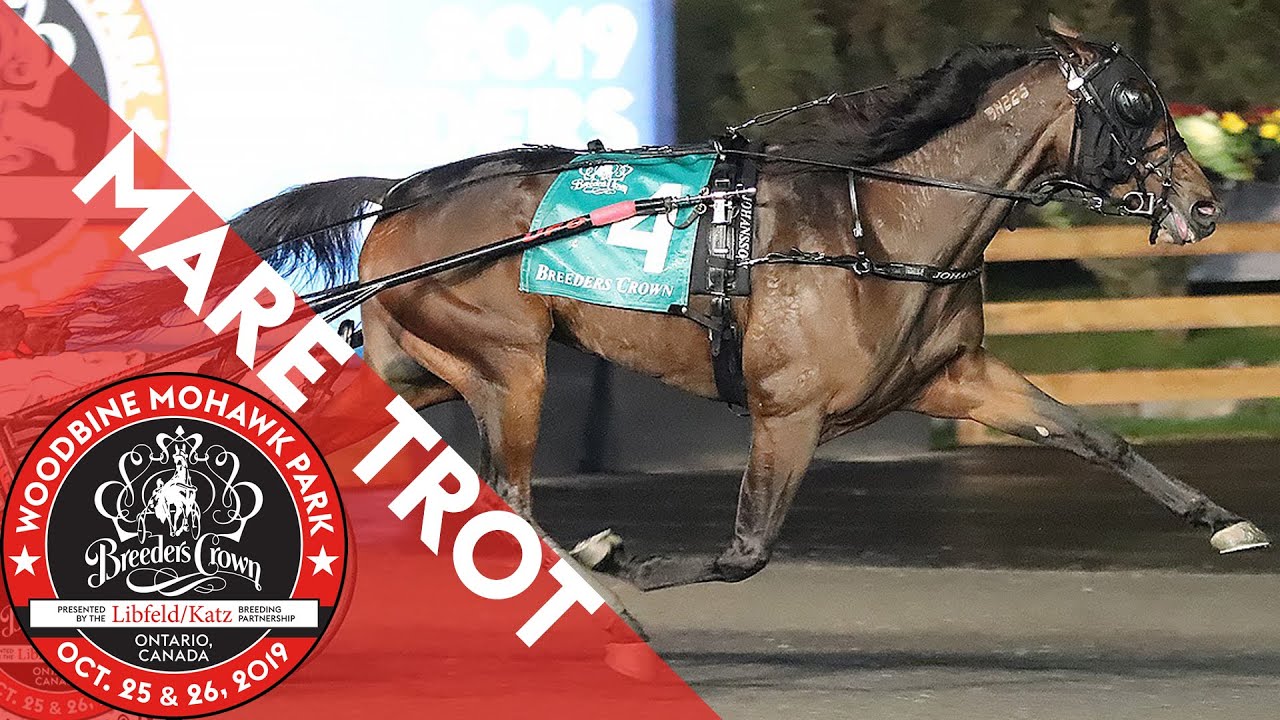 2019 Breeders Crown Manchego Mare Trot YouTube