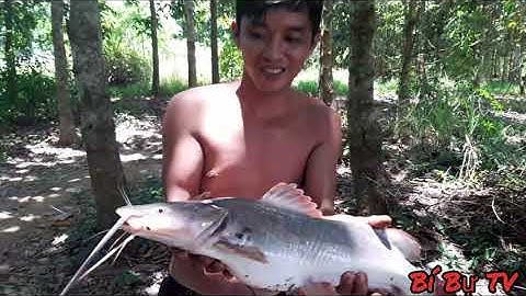 Câu cá sông | lên thác săn cá lăng mùa nước lũ