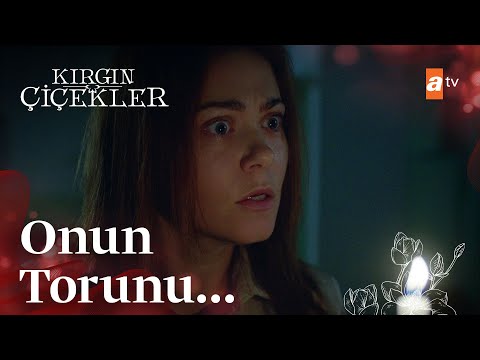 Deliren Banu yurtta! - Kırgın Çiçekler 88. Bölüm