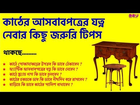 ভিডিও: কিভাবে বিড়াল নখর থেকে আসবাবপত্র রক্ষা করতে হয়