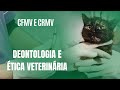 Cfmv e crmv  deontologia e tica veterinria