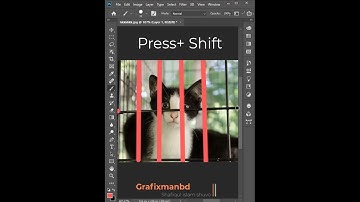 Remove the cat cage fence in Photoshop, #shorts #youtubeshorts