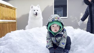 사모예드 강아지와 아기를 위해 뒷마당에 눈 성을 만들어 줬어요