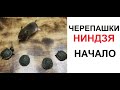 Макс Максимов. Черепашки-ниндзя. НАЧАЛО