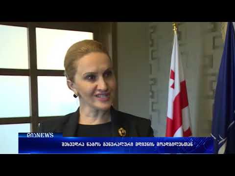 ლელა ჩიქოვანი ნატო-ს გენერალური მდივნის მოადგილეს შეხვდა 21.09.2018