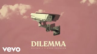 Zeleah Pierre Johnson  Dilemma visualizer