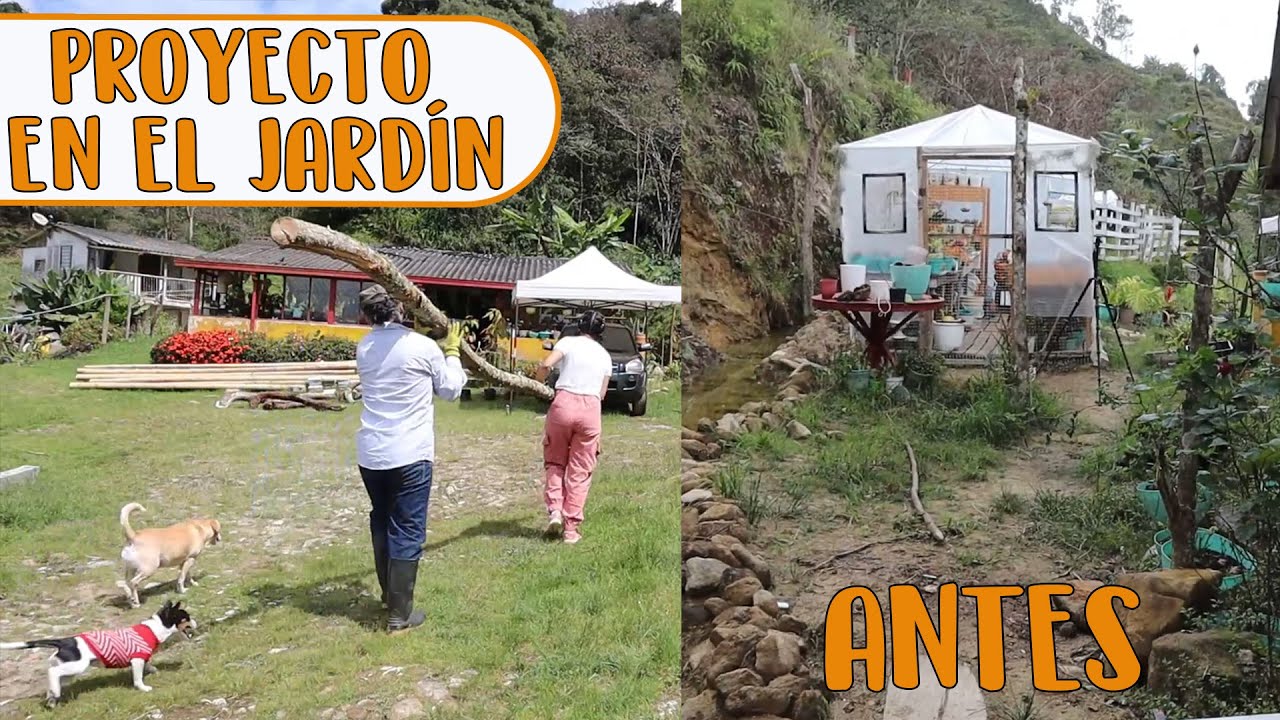 Transformando un jardín de ROSAS con la ayuda de mi esposo y mis mascotas │Candy Bu
