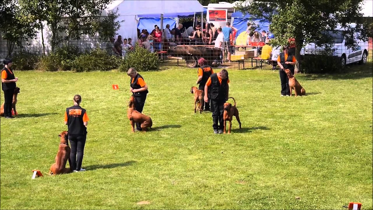 Kastor's Home Demo 2015