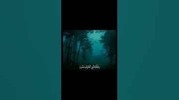أَلَّا تَخَافُوا وَلَا تَحْزَنُوا وَأَبْشِرُوا | محمد صديق المنشاوي | سورة فصلت