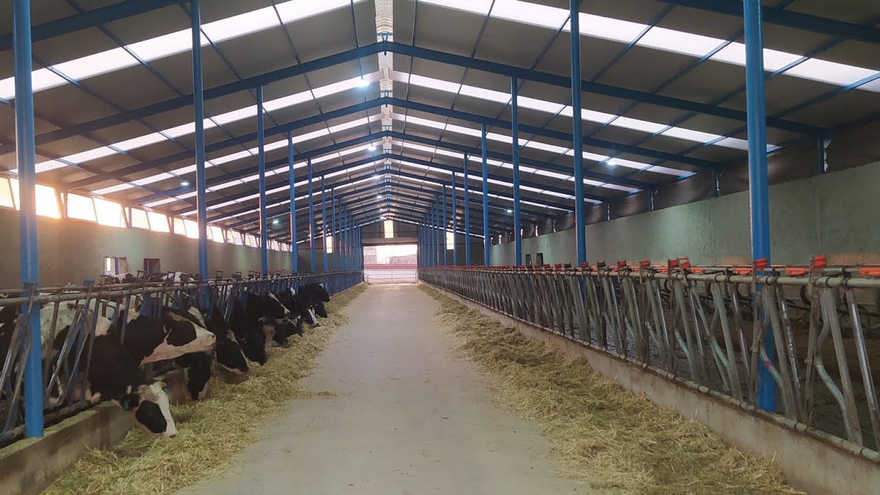 Çürümüş olan sacı sandevic penel ile degiştirdik